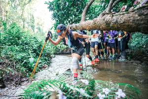 BIB: 
                            <button type="button" onclick="openModal(25468038)" class="btn btn-primary btn-sm float-right btn-popup" data-toggle="modal" data-target=".modal-high-quality">
                        <i class="fas fa-shopping-cart"></i> Add to Cart
                    </button>
                                            <button type="button" onclick="isThisMe(25468038, true)" class="btn btn-success btn-sm float-right btn-popup btn-isme hidden" data-toggle="tooltip" data-placement="bottom" title="นี่คือรูปของคุณใช่ไหม คลิกที่นี่เพื่อเอาเข้าอัลบั้ม">
                        <i class="fas fa-plus"></i> Add to album
                    </button>
                    <button type="button" onclick="isThisMe(25468038, false)" class="btn btn-warning btn-sm float-right btn-popup btn-isnotme hidden">
                        <i class="fas fa-ban"></i> Remove from album
                    </button>